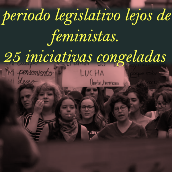 Terminó periodo legislativo lejos de agendas feministas. 25 iniciativas congeladas